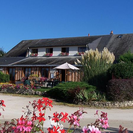 Logis Hotel Restaurant Le Vieux Fusil Soings-en-Sologne Bagian luar foto